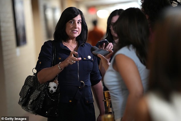 New York Republican Rep. Nicole Malliotakis told the Daily Mail she believes the 'bromance' between the two leaders is over