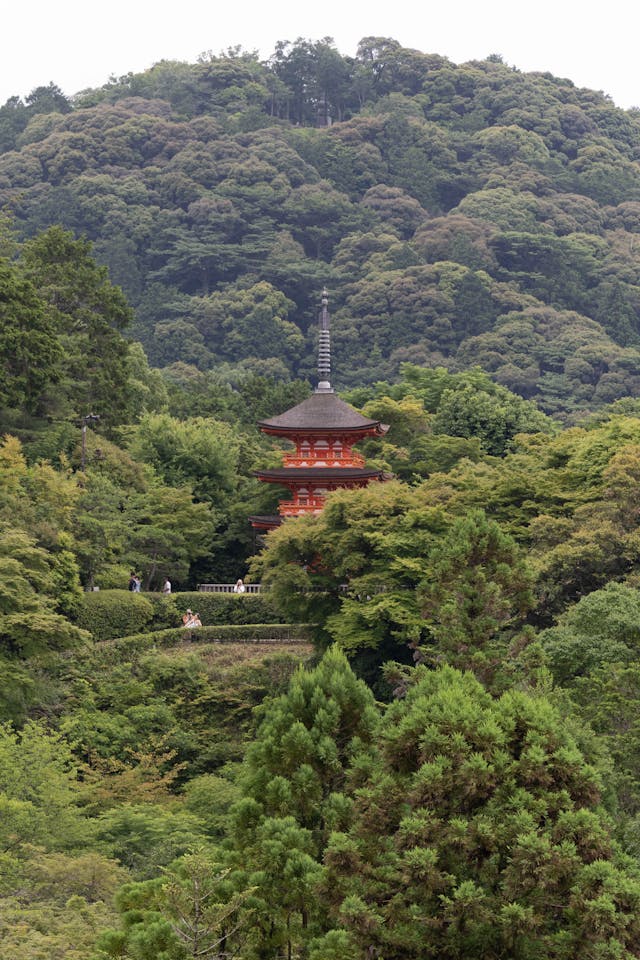 10-Day Japan Itinerary for First-Timers Kiyomizu-dera Temple, Kyoto