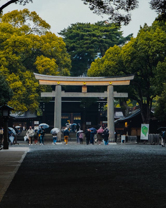 10-Day Japan Itinerary for First-Timers Meiji Shrine Temple